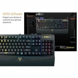 Tastiera Gaming Usb Gamdias Meccanica Hermes P1 Key Switch Blu (TTC) RGB Led - Layout US